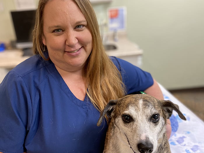 VCA Edgewood Animal Hospital Staff Page