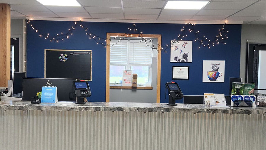 Our Hospital VCA Marshalltown Animal Hospital