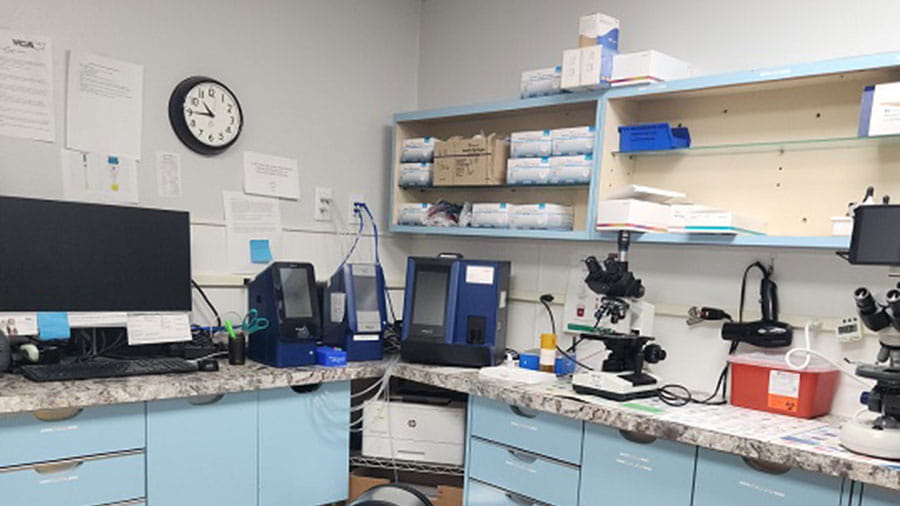 Our Hospital VCA Marshalltown Animal Hospital