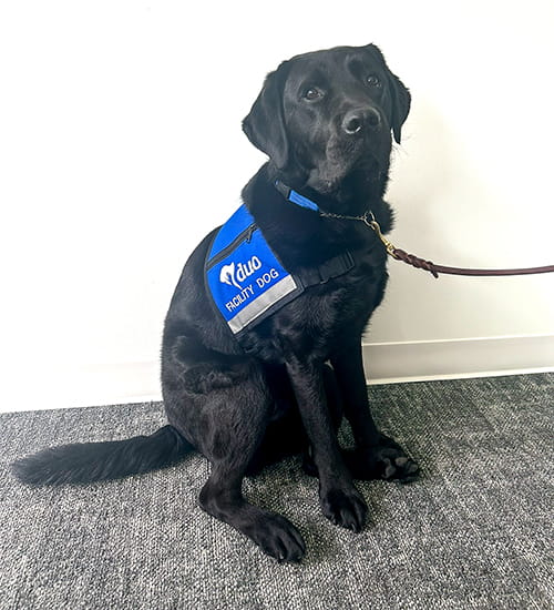 Duo Dog Coleman - The Children's Place therapy dog