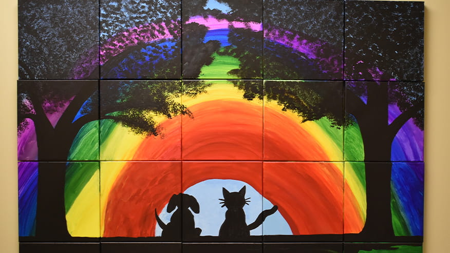 VCA Fairway Euthanasia