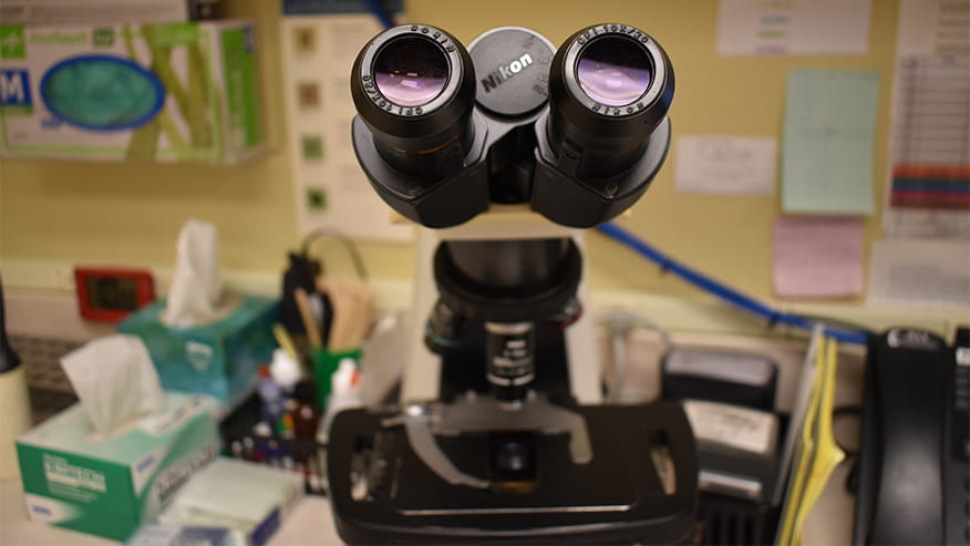 VCA Fairway In House Lab