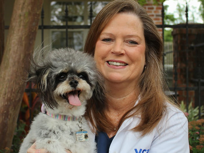 Dr. Elisabeth Schmidt Staff Photo