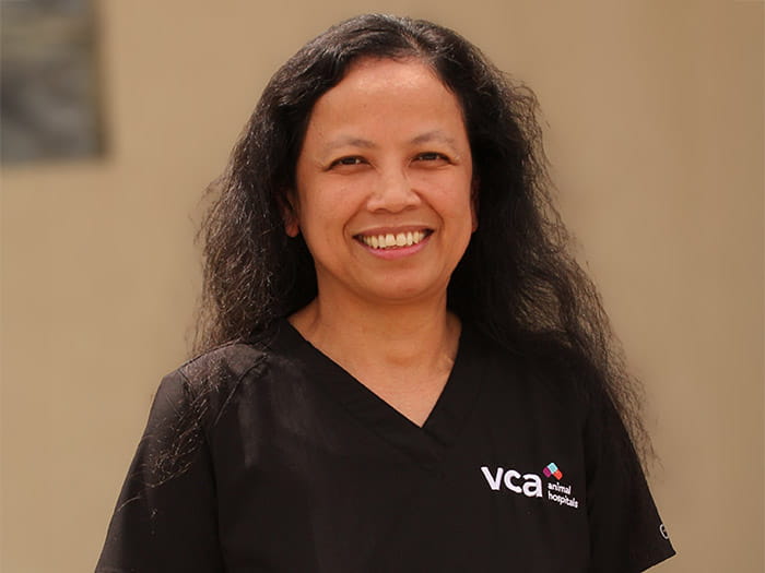 Jocelyn E. Staff Photo