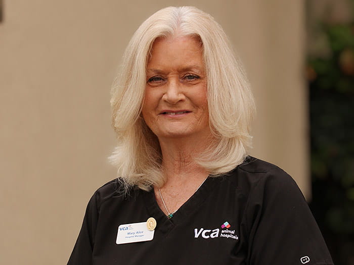 Mary Alice Shannon Staff Photo