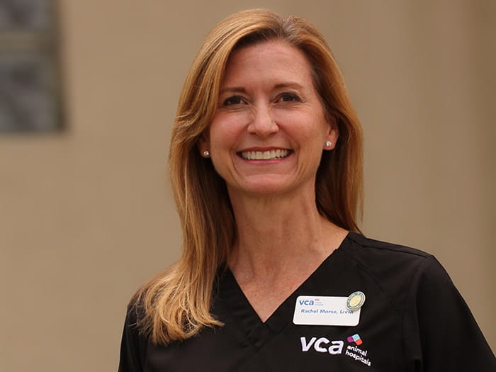 Dr. Rachel Morse Staff Photo