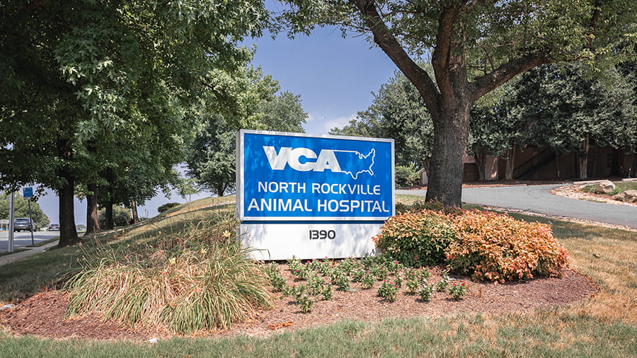 Our Hospital | VCA North Rockville Animal Hospital