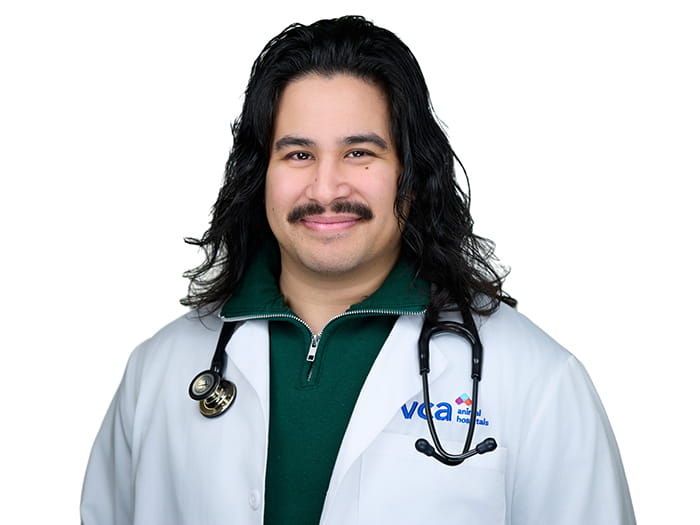 Dr. Derek Chen Staff Photo