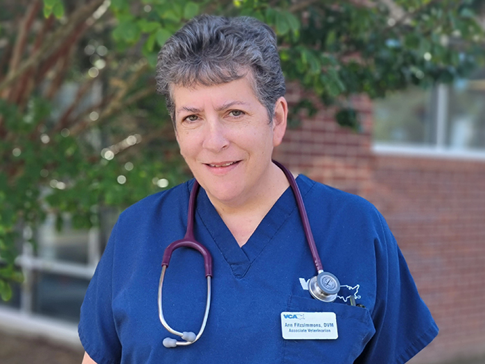 Dr. Ann Fitzsimmons