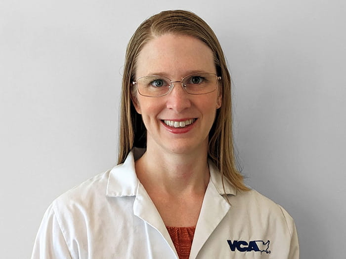 Dr. Ciminello Staff Photo