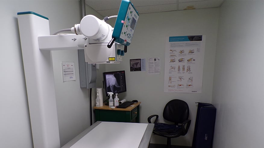Auburn Digital Radiology