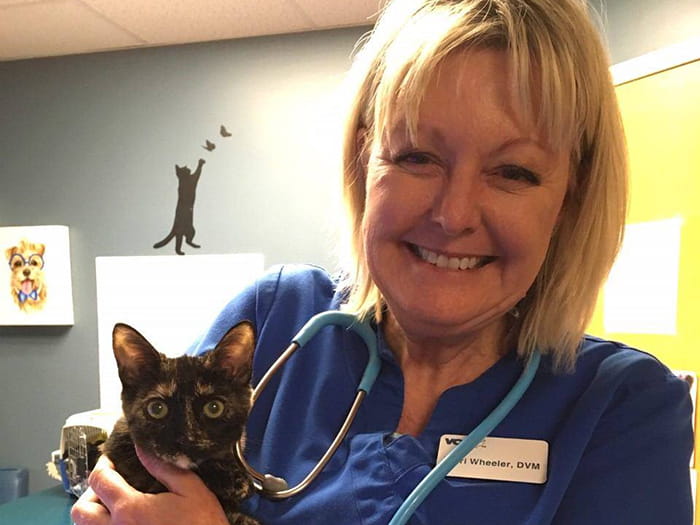 Dr. Cronin VCA Blackstone Valley Animal Hospital