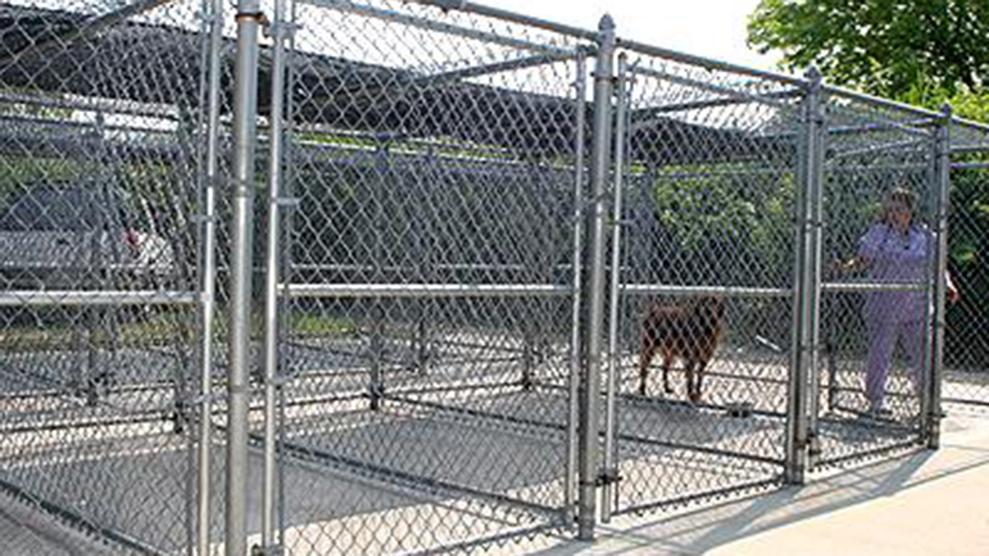 Outdoor kennels at VCA Capeway Animal Hospital