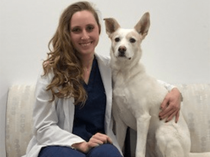 VCA Everett Animal Hospital Staff Page