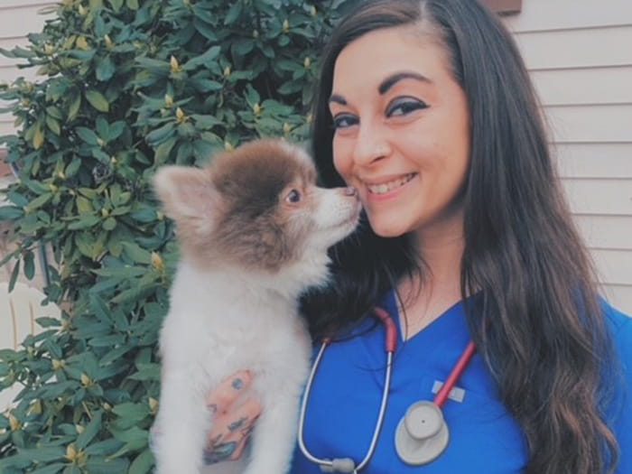 VCA Everett Animal Hospital Staff Page