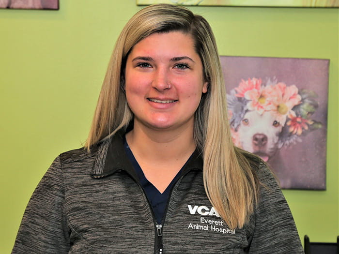 VCA Everett Animal Hospital Staff Page
