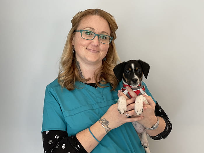 VCA Hyannis Animal Hospital Staff Page