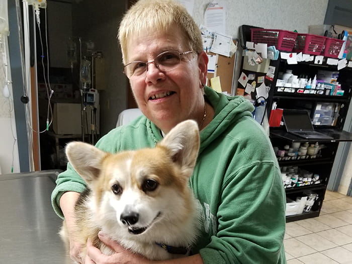 VCA Palmer Animal Hospital Staff Page