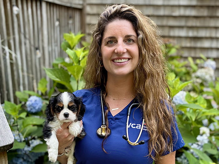 Dr. Stephanie Powers Staff Photo