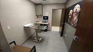 VCA Shaker Road Animal Hospital Exam Room