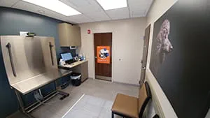 VCA Shaker Road Animal Hospital Exam Room