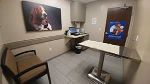 VCA Shaker Road Animal Hospital Exam Room