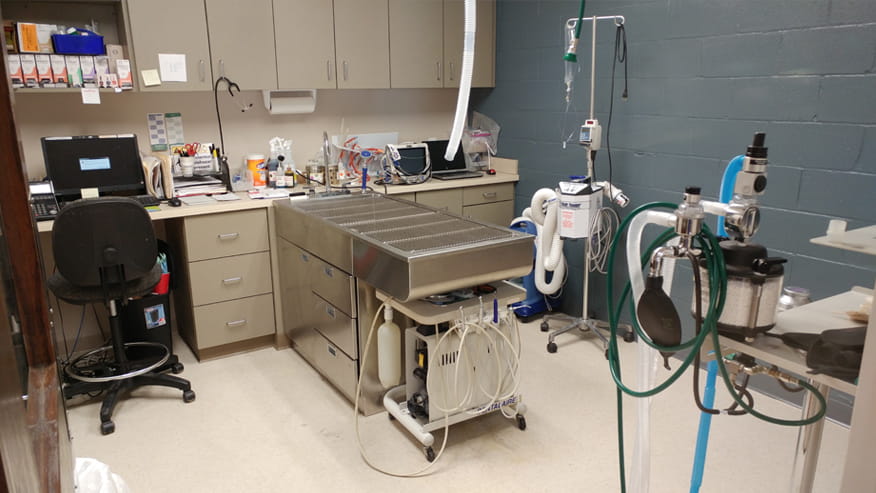 VCA Shaker Road Animal Hospital Dental