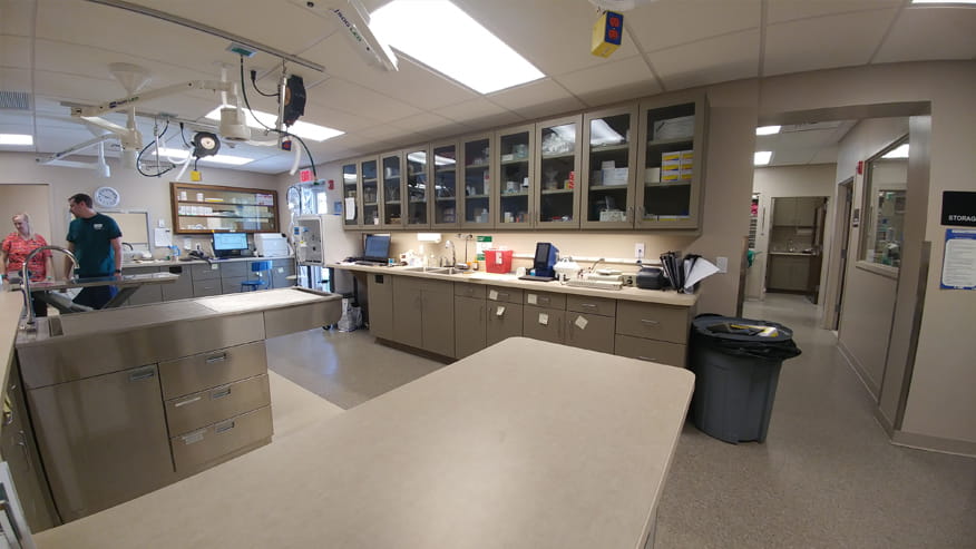 VCA Shaker Road Animal Hospital Laboratory