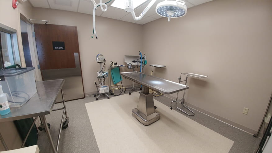 VCA Shaker Road Animal Hospital Surgery