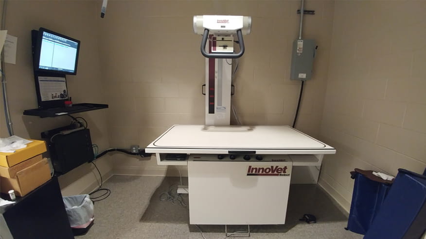 VCA Shaker Road Animal Hospital X-Ray