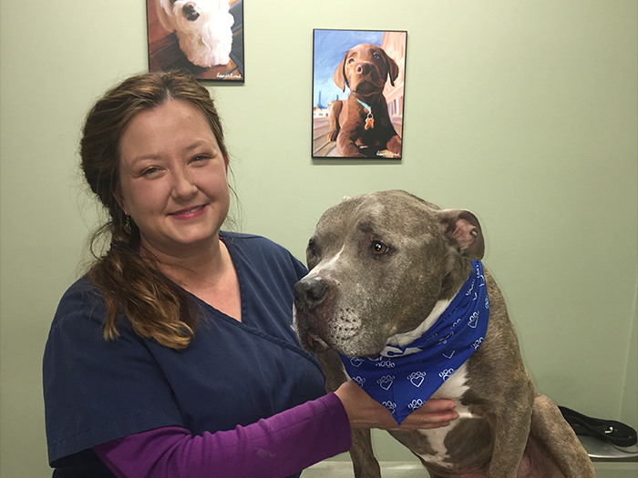 VCA South Shore (Quincy) Animal Hospital | Staff Page