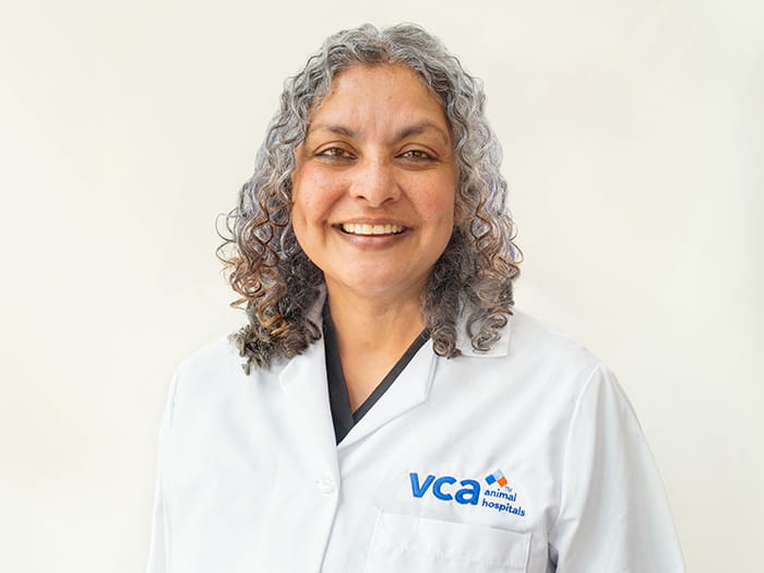 Dr. Indu Mani Staff Photo
