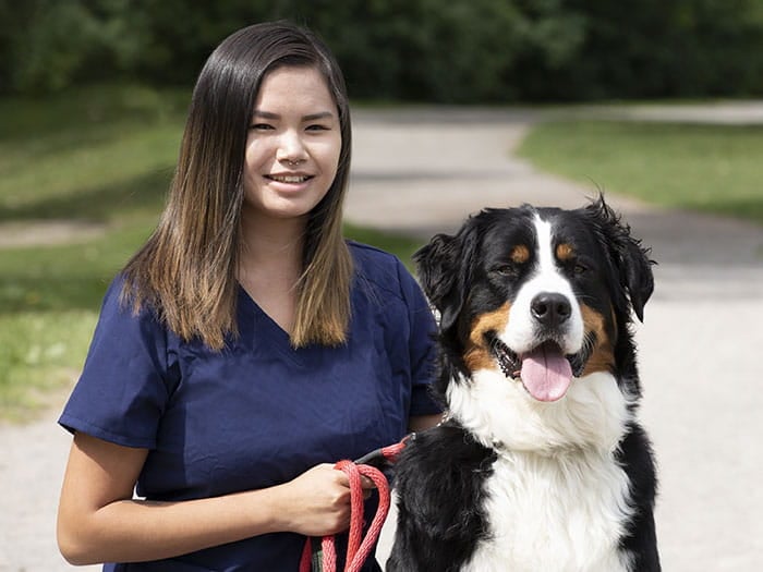 Vca shops countryside animal hospital