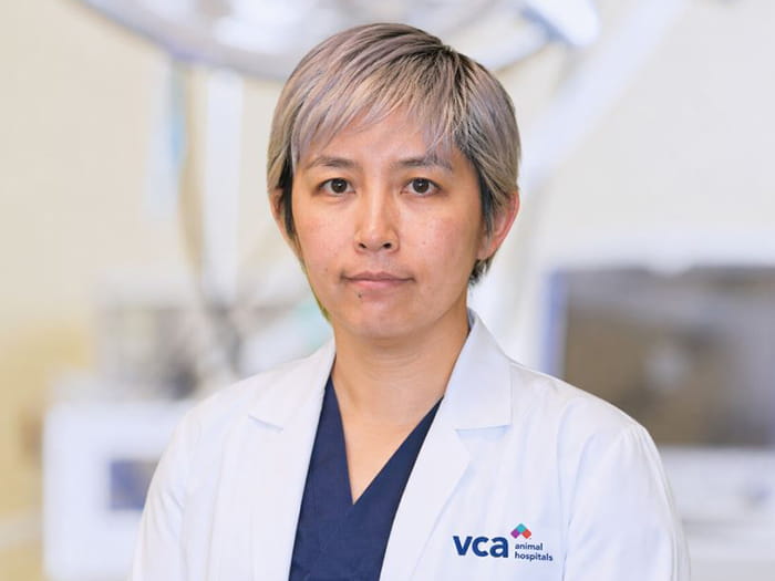 Dr. Sandy Chen Staff Photo