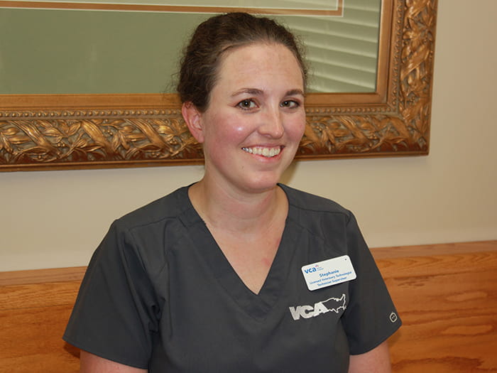 VCA Swartz Creek Animal Hospital Staff Page