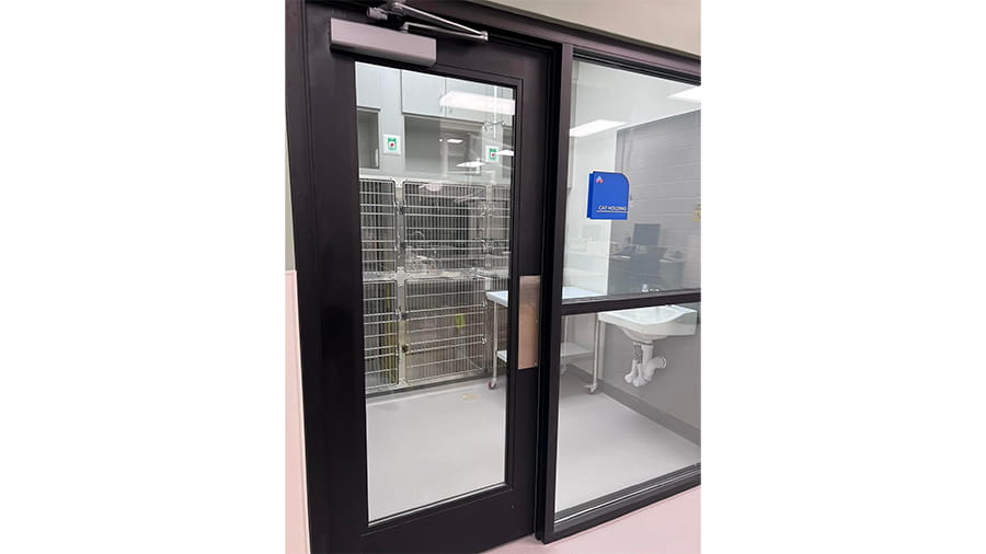 Cat holding room at VCA White Lake