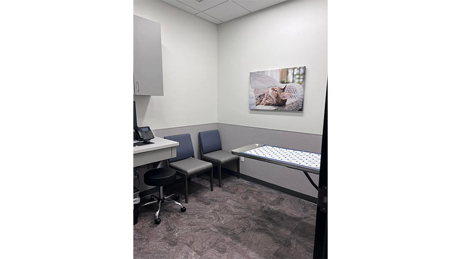 Exam room at VCA White Lake