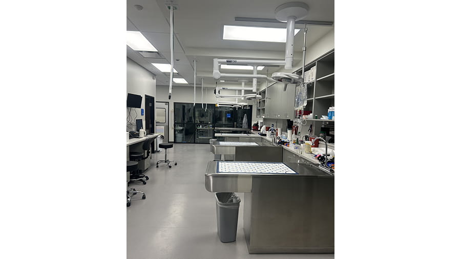 VCA White Lake treatment area