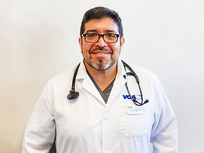 Dr. Luis Sepulveda Staff Photo