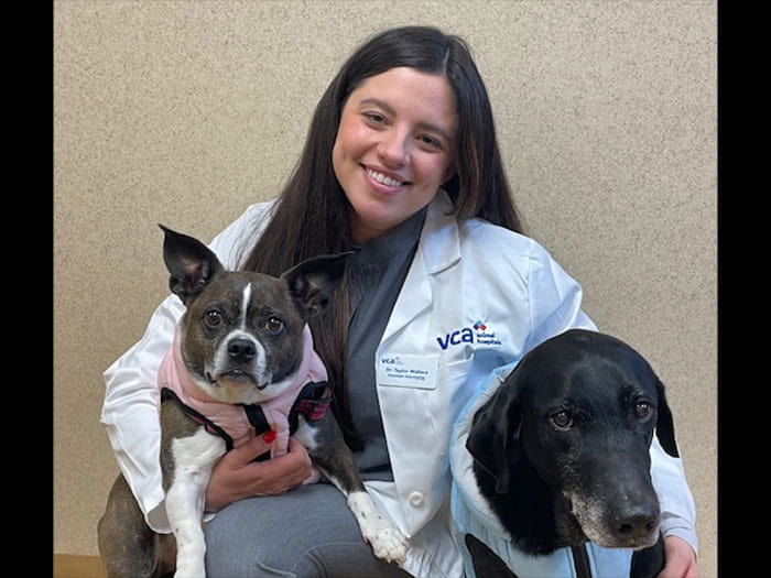 Taylor Wallace Staff Photo