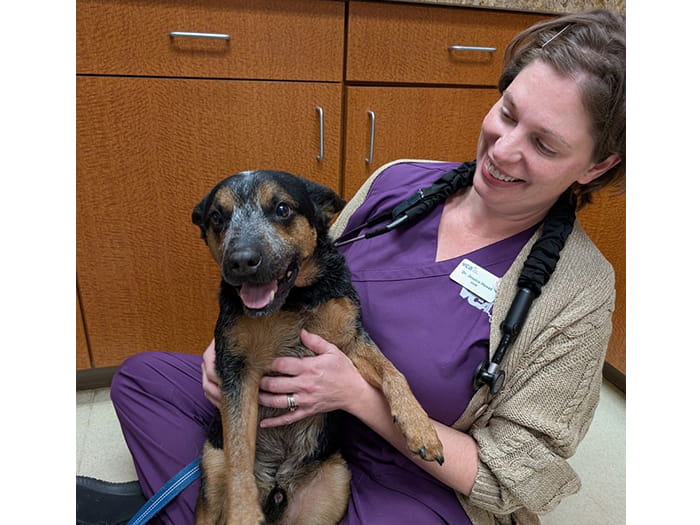 Dr. Jessica Hovet