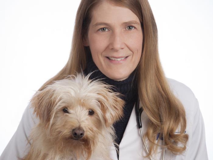 VCA 80 Dodge Animal Hospital Staff Page