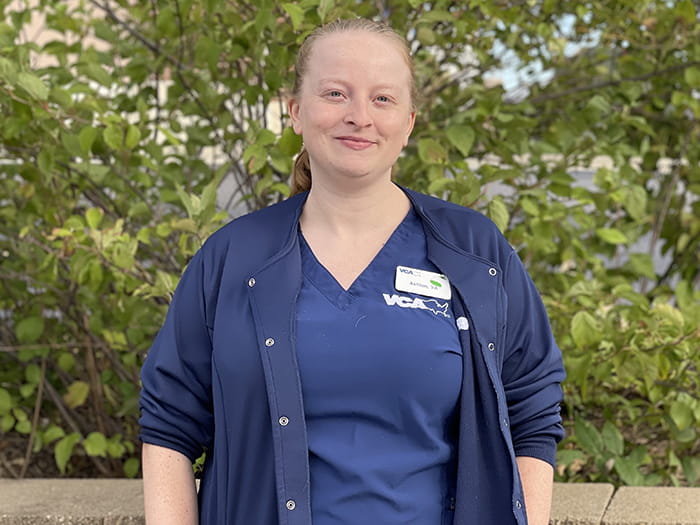 Ashton Rhodes VCA Animal Medical Center of Omaha | Staff Page