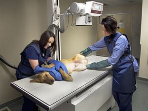 Digital Radiography Midwest