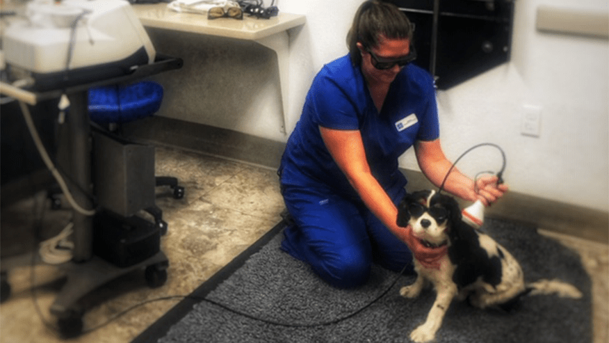 Laser Therapy