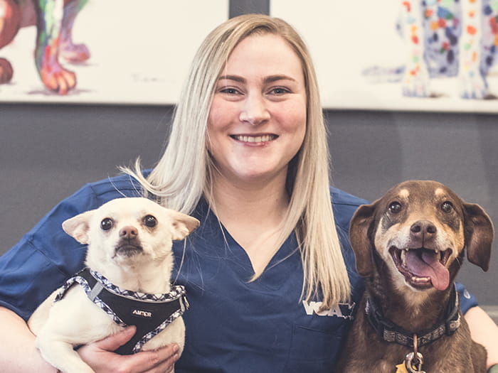 Dr. Kathryn Martinez Staff Photo