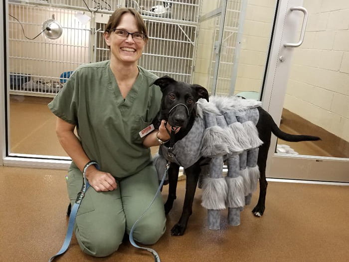 Jody Tennant Staff Photo