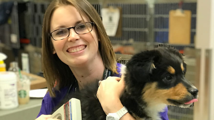 VCA Hualapai Animal Hospital Microchipping