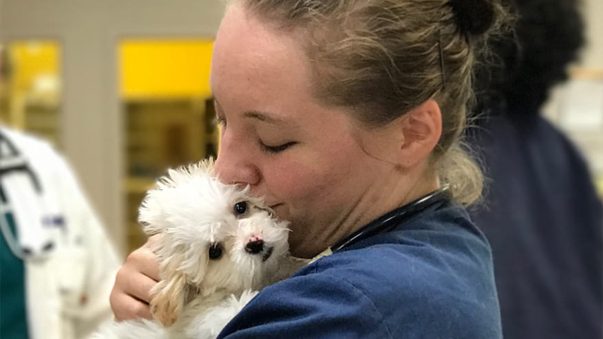 VCA Hualapai Animal Hospital New Puppy & Kitten Packages