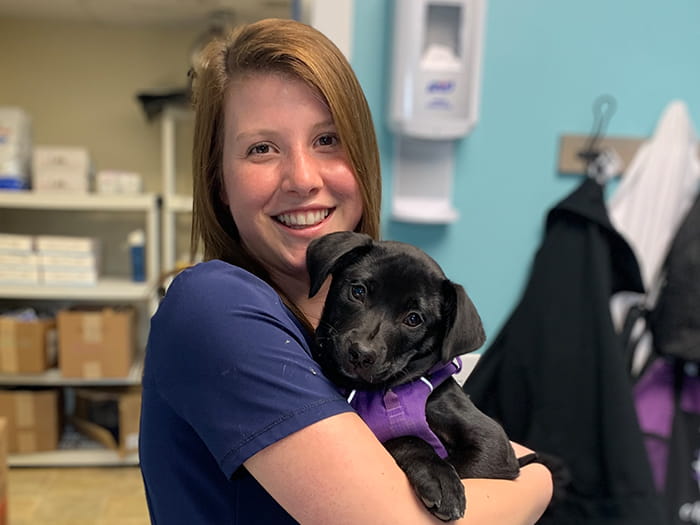 Top 136+ Animal medical center of kansas city